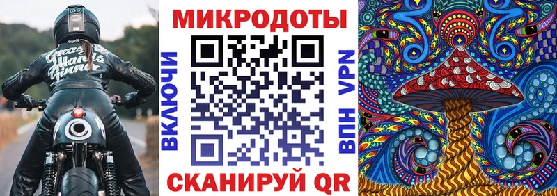 Псилоцибиновые грибы Psilocybine cubensis дарнет шоп Куртамыш