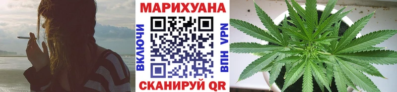 как найти закладки  дарк нет наркотические препараты  Шишки марихуана SATIVA & INDICA  Куртамыш 